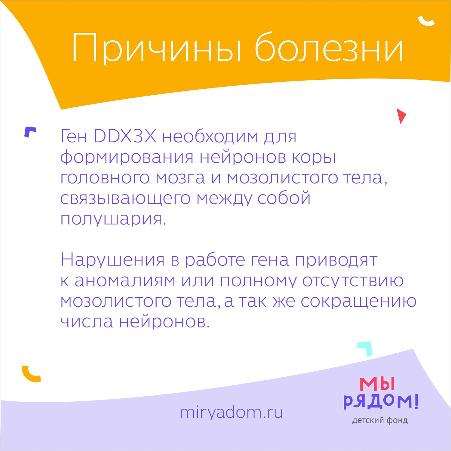 Редкий синдром DDX3X